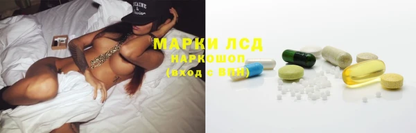 ПСИЛОЦИБИНОВЫЕ ГРИБЫ Гусь-Хрустальный