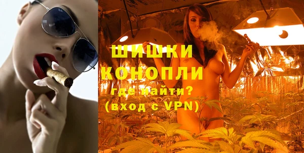 ПСИЛОЦИБИНОВЫЕ ГРИБЫ Гусь-Хрустальный