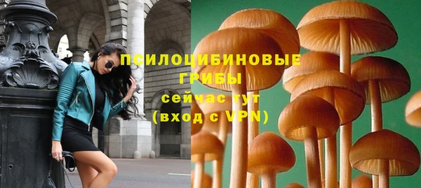 трава Гусев